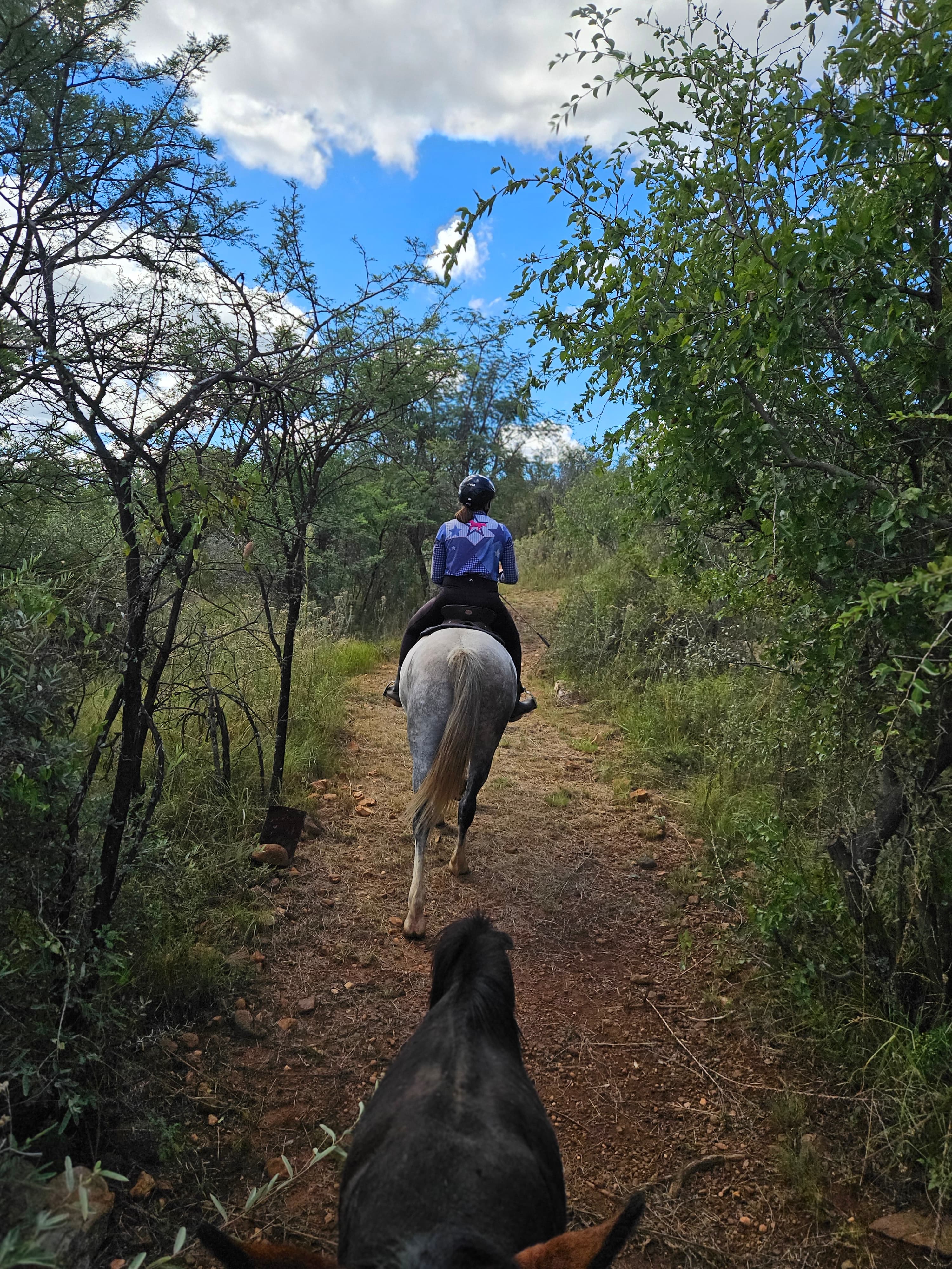 Pasio Life — Ecslipse on a trail ride