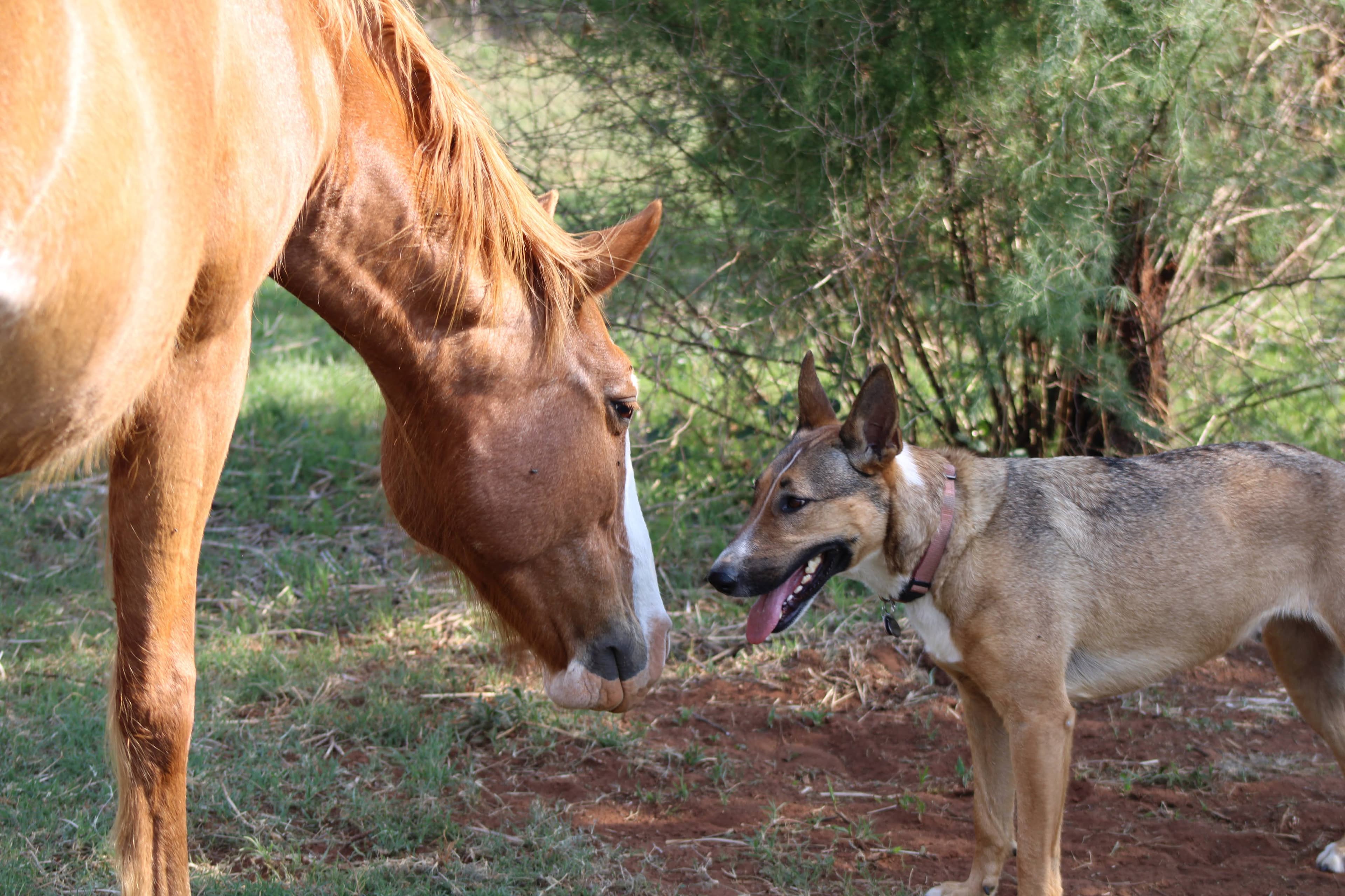 Pasio Life — Zoe & buffy