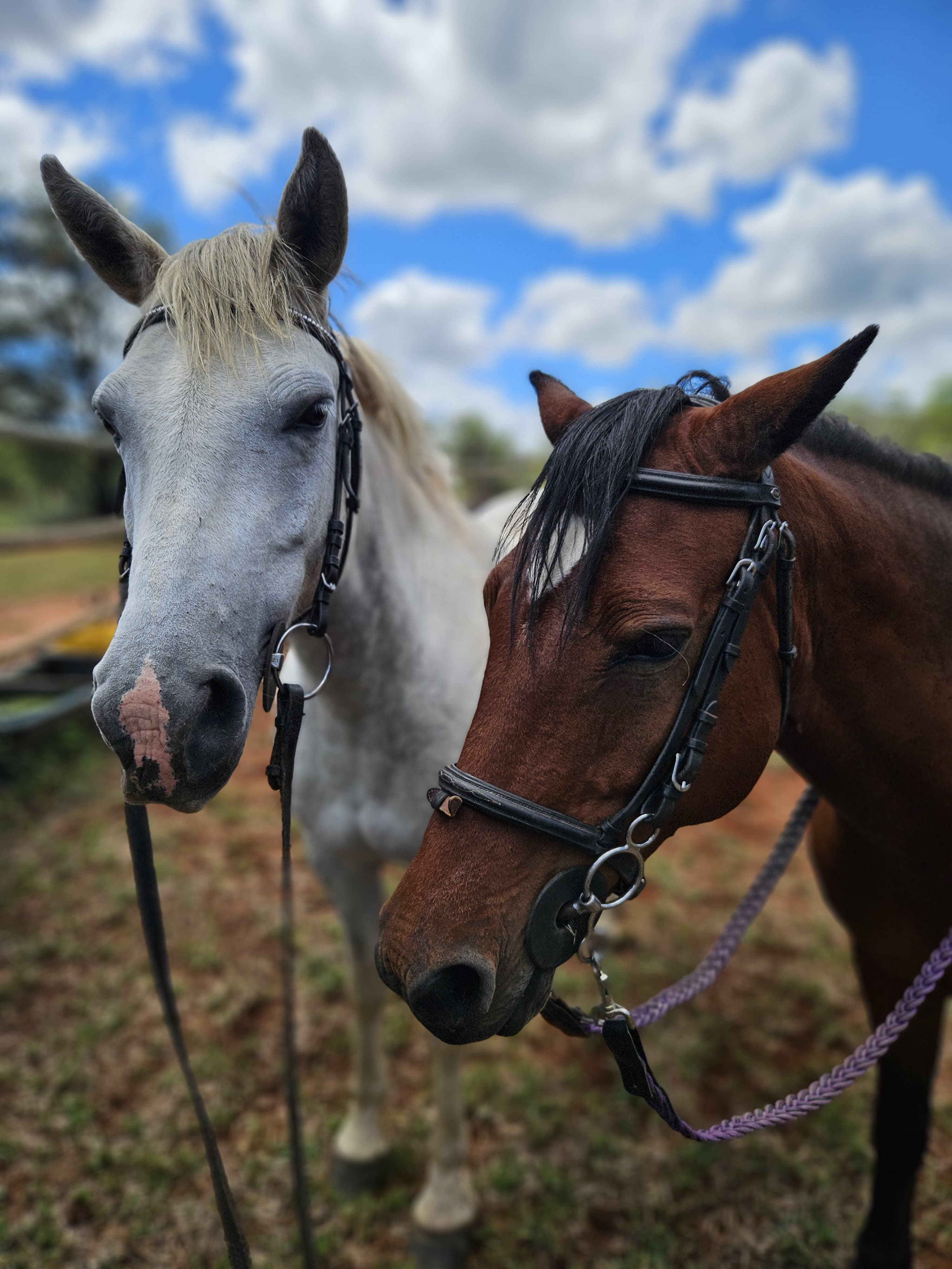 Trail ride at Pasio Life